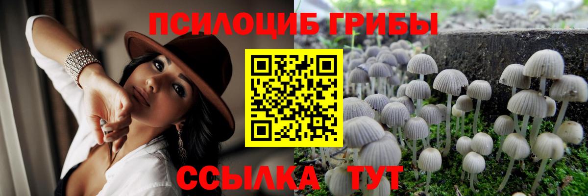 Галлюциногенные грибы GOLDEN TEACHER  Вход с VPN  Серпухов 